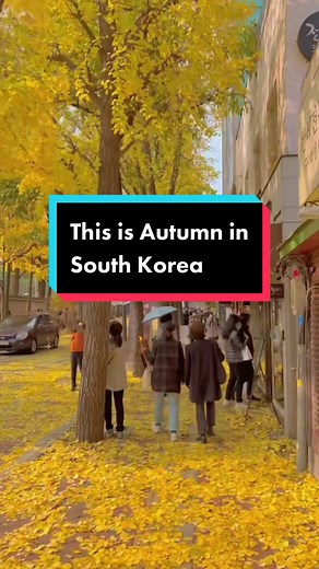 PAKEJ FULLBOARD AUTUMN SEOUL & JEJU! Harga Asal: RM5200/person Harga Promosi Untuk 15 Peserta Terawal: RM4990 SAHAJA! Harga sudah termasuk: ✅ Tiket Penerbangan Antarabangsa dan 20KG ✅ Checkin Luggage Allowance ✅ Tiket Penerbangan Domestik Seoul-Jeju ✅ Transport ✅ Hotel 3 ⭐️ & Sarapan Pagi ✅ Makan Tengahari & Malam ✅ Tour Guide ✅ Tiket Lawatan ✅ K-ETA Application (1kali) Tarikh Perlepasan: ✈️13-19 Sep ✈️4-10 Oct ✈️11-17 Oct ✈️18-24 Oct ✈️25-31 Oct ✈️1-7 Nov ✈️8-14 Nov ✈️15-21 Nov Whatsapp kami se