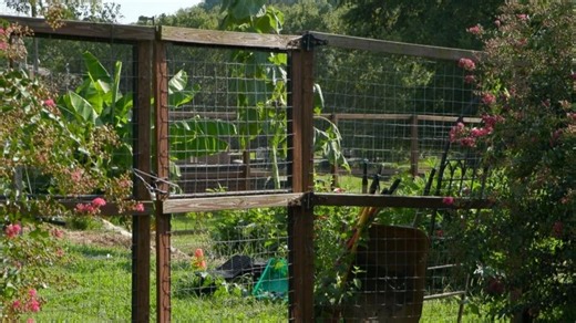 West Boulevard grocery store project seeking solutions to food insecurity