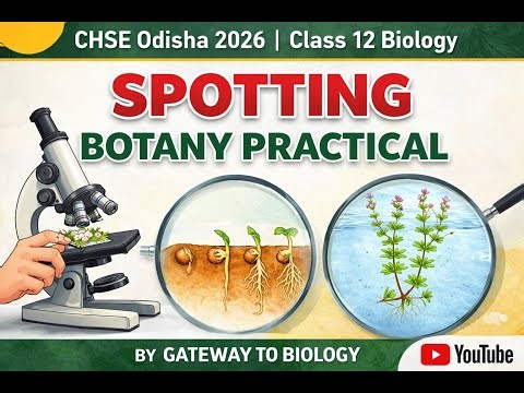 Spotting in Botany Practical 🌱 CHSE Odisha 2026 | Class 12 Biology Practical | Gateway to Biology