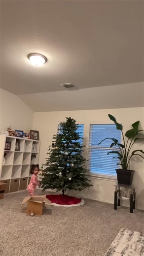 #OurChristmasTreeIsUp🎄 | Sui Tha Hlei Par