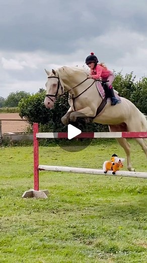 Jumping With Ivy | When Penelope & Kipper join Ivy and @crownsaceofpearl on their adventures 😍 Penelope & Kipper are part of the @thelwellbyhyequestrian... | Instagram
