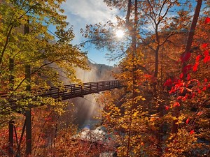 2021 Fall Foliage Peak Map: When Leaves Are Best In East Cobb