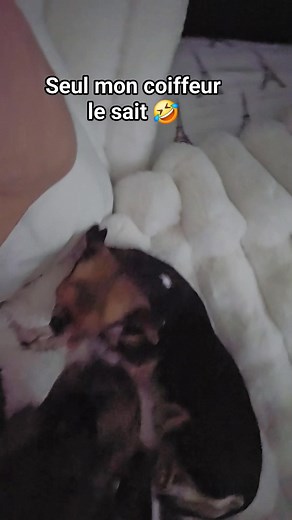 Seul mon coiffeur le sait 🤣 | Tracee Lee