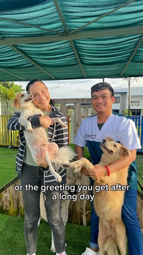 1.8K views · 89 reactions | IWCT Philippines on Reels | Facebook