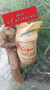 186K views · 1K reactions | #vegetables #crops #fodders #agriculture...