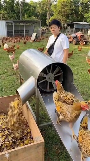 Satisfying Viral Videos Compilation - Funny & Relaxing Clips