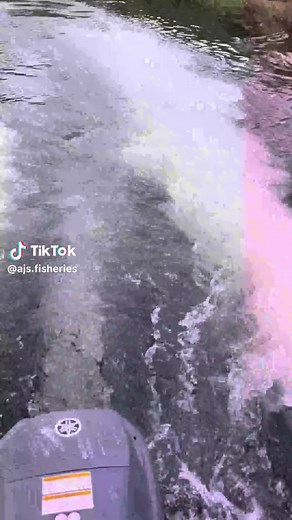 Understanding Siltex: Benefits for Water Quality Improvement