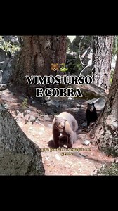 Siga @euafora_ Que aventura em família, o nome do parque que fomos é Yosemite National Park. Nossa trilha foi pela Mist Trail, a mais icônica de Yosemite, que sobe ao longo das espetaculares Vernal Falls até chegar à imponente Nevada Fall ￼ ￼. Foi uma aventura daquelas: vimos ursos, encontramos cobra pelo caminho e encaramos altura, água e pedras nivel “ação total”. Porque viver na estrada é isso: cada dia, um novo capítulo de aventura 🎒🌲 E se você é novo por aqui, não esquece de seguir pra ac