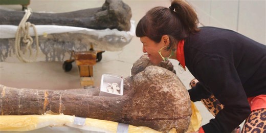 How soft tissue fossils helped prove dinosaurs were warm-blooded