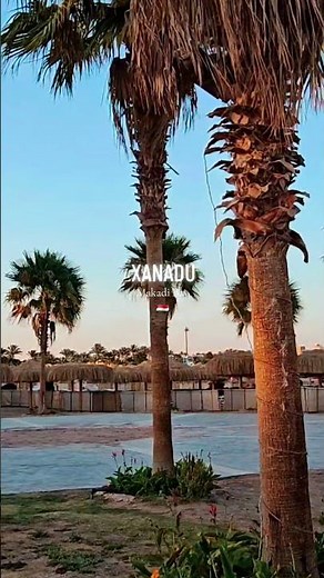 Xanadu Makadi Bay 🇪🇬 | Quick Hotel Tour ⭐