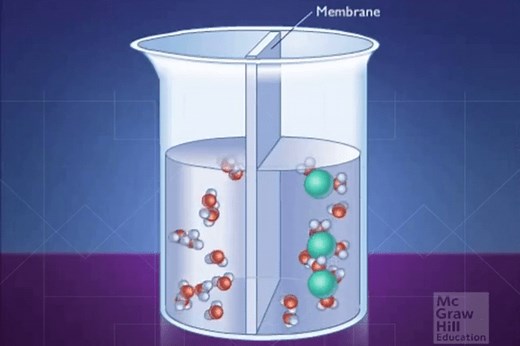 Semipermeable Membrane - American Chemical Society