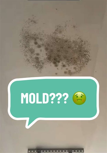 New Build Mold Problems: How to Inspect & Report Construction Defects