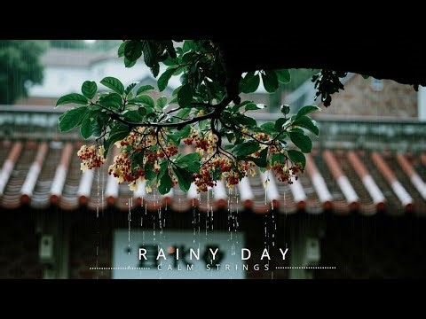 Acoustic Guitar Autumn Vibes ~ Rainy Day Relaxation Music for Cozy Fall Ambience & Chill