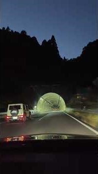 2025/11/23ライブ ハイライト