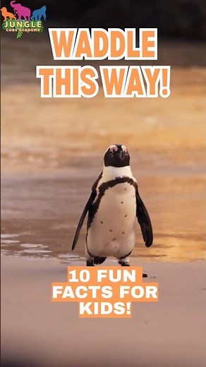 10 Fun Penguin Facts for Kids!