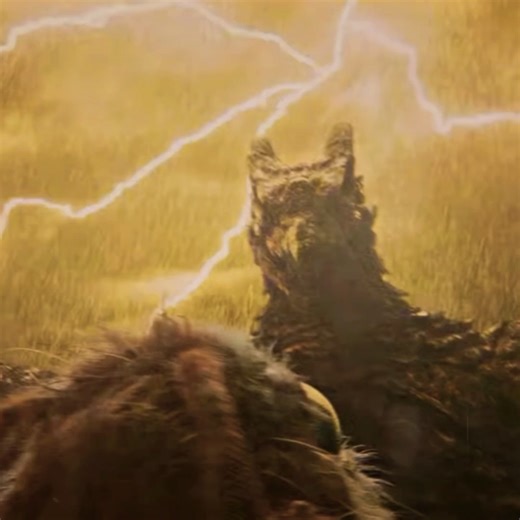 Titanus Rodan edit | #godzilla #edit #rodan #fypシ #shorts