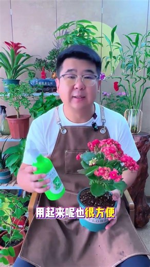 Top 10 Pest Control Tips for Long-Time Flower Growers