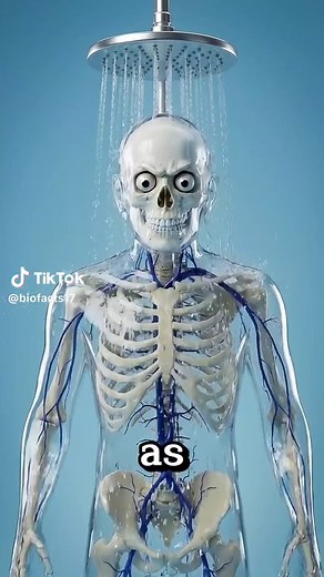 Benefits of Taking Cold Showers Every Day