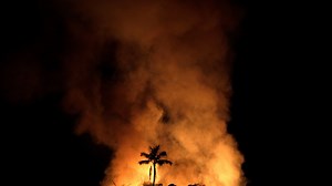 Amazon rainforest fire - how did it start, how bad is the damage and will the fires stop?
