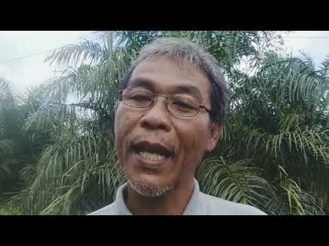 The YouTube Algorithm: A Creator's Enemy or a Creator's Best Friend? Here's How to Understand It!