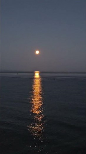 Bossa Nova Night – Smooth Brazilian Chill Music to Relax, Study & Sleep #bossanova #jazz #brazilian