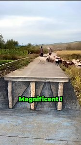 86K views · 616 reactions | 3D Street Art by Pragar Art. | STREET ART UTOPIA | Facebook