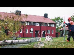 Logosol Smart Pusher