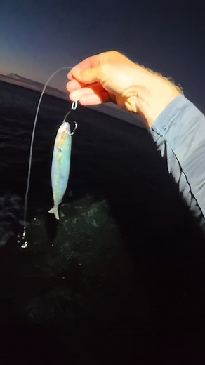 Part 3 of the most insane is fishing trip of my life. #hawaiifishing #fishing #uluafishing #slidebait #ulua | Ryanfishinghi