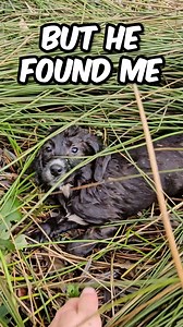 He Was Alone in the Rain 😭 | Paw Squadron