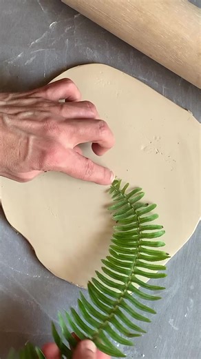 7.1M views · 291K reactions | How many spirals can you name in...