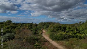 aerial footage flying forward along a flat dirt path hiking trail in wetland park (marsh walking road) rural, natural scenery with trees, clouds, blue sky (drone establishing shot) Stock Video