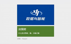 「Python数据分析」决策树：什么是决策树、熵、分割之熵#Python#数据分析#决策树