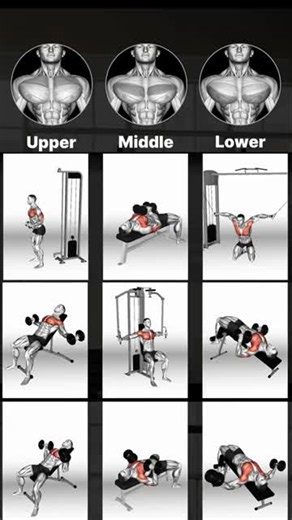 Full Body Workout for a Healthier Lifestyle