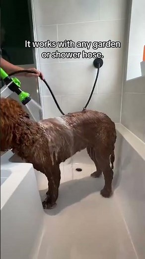 Bath time without the mess – outdoor dog shower made easy #DogShower #PetGrooming #OutdoorPetCare