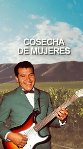 ¡Ya está disponible el video con letra de ‘Cosecha de Mujeres’ de Mike Laure! 🎶🌺 Disfruta con nosotros este clásico de la música tropical. Encuentra el enlace en nuestra bio y dale play en YouTube. #MikeLaure #CosechaDeMujeres #MusicaTropical #DiscosMusart | Discos Musart