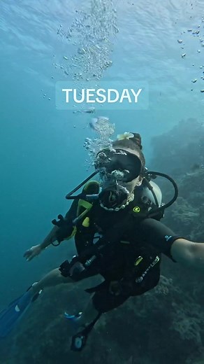 Underwater Scuba Diving Music Video