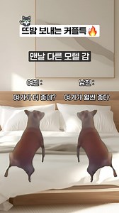 데이트를 더욱 특별하게 하는 고양이 밈 추천