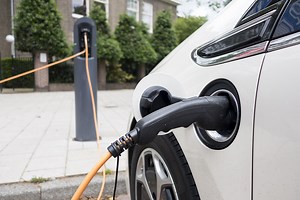 Environmental Webquest