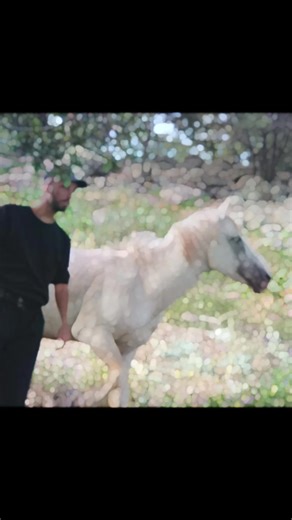 #cewlik12 #kanireş #12 #kurd