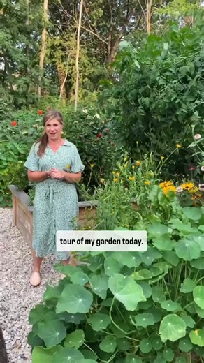 Nicole Johnsey Burke on Instagram: "THIS was my favorite garden tour EVER with @katiemoglesby It was 2021 and Katie had been a Gardenary Certified Garden Consultant for almost 2 years. She invited me up to her kitchen garden in Lake Geneva Wisconsin. I am not exaggerating in the least when I say my jaw dropped to the ground when I saw Katy’s incredible kitchen garden. It had everything: raspberry vines, growing up the trellis, arch, trellises, literally smothered in tomatoes, zinnias and Dahlia‘