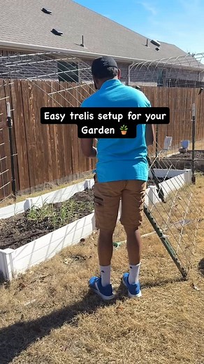 74K views · 264 reactions | Spring season is here 華Easy trelis set up for your Garden . Comment for full tutorial  Follow @priyahomedelights for more content ❤️#garden #trellis #gardening #backyardgarden #backyardgardener #urbangardening #gardeningtips #gardeninspiration | Laya Lawrance | Facebook
