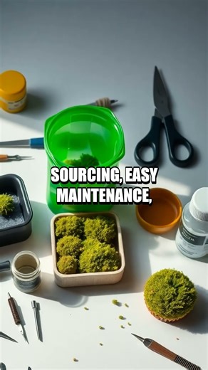 Moss Graffiti: Turning Stairwells into Living Air Purifiers