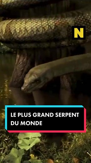 natera.france sur TikTok