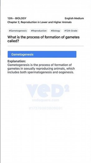 Gametogenesis in Reproduction 12th Biology Chapter 2