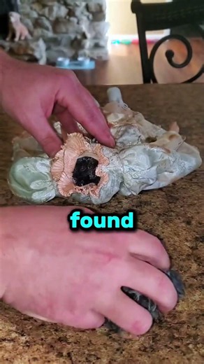 He Shouldn't Have Opened it