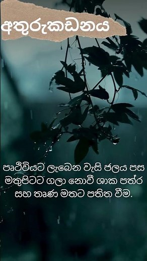 BST grade 12 (Lesson 1) (part 2) short note