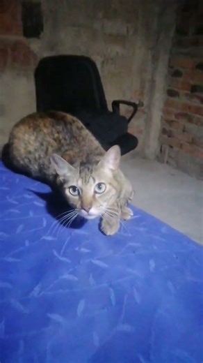 Señor usted a que se dedica