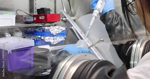 University female scientist conducts chemical experiment inside glovebox, an isolated enclosure that is designed to maintain an inert atmosphere.