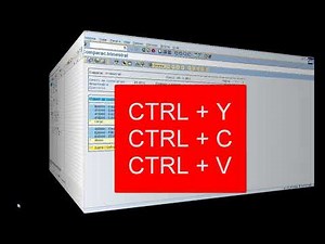 Copia texto en SAP con CTRL+Y CTRL+C CTRL+V