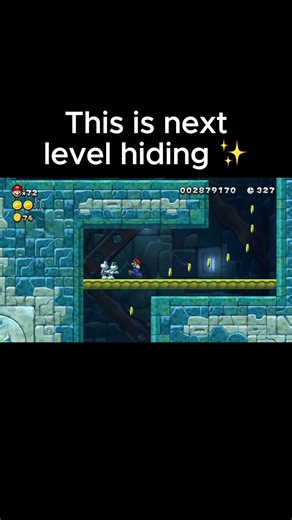 Did you find this in New Super Mario Bros U? #mario #nintendoswitch #nintendo